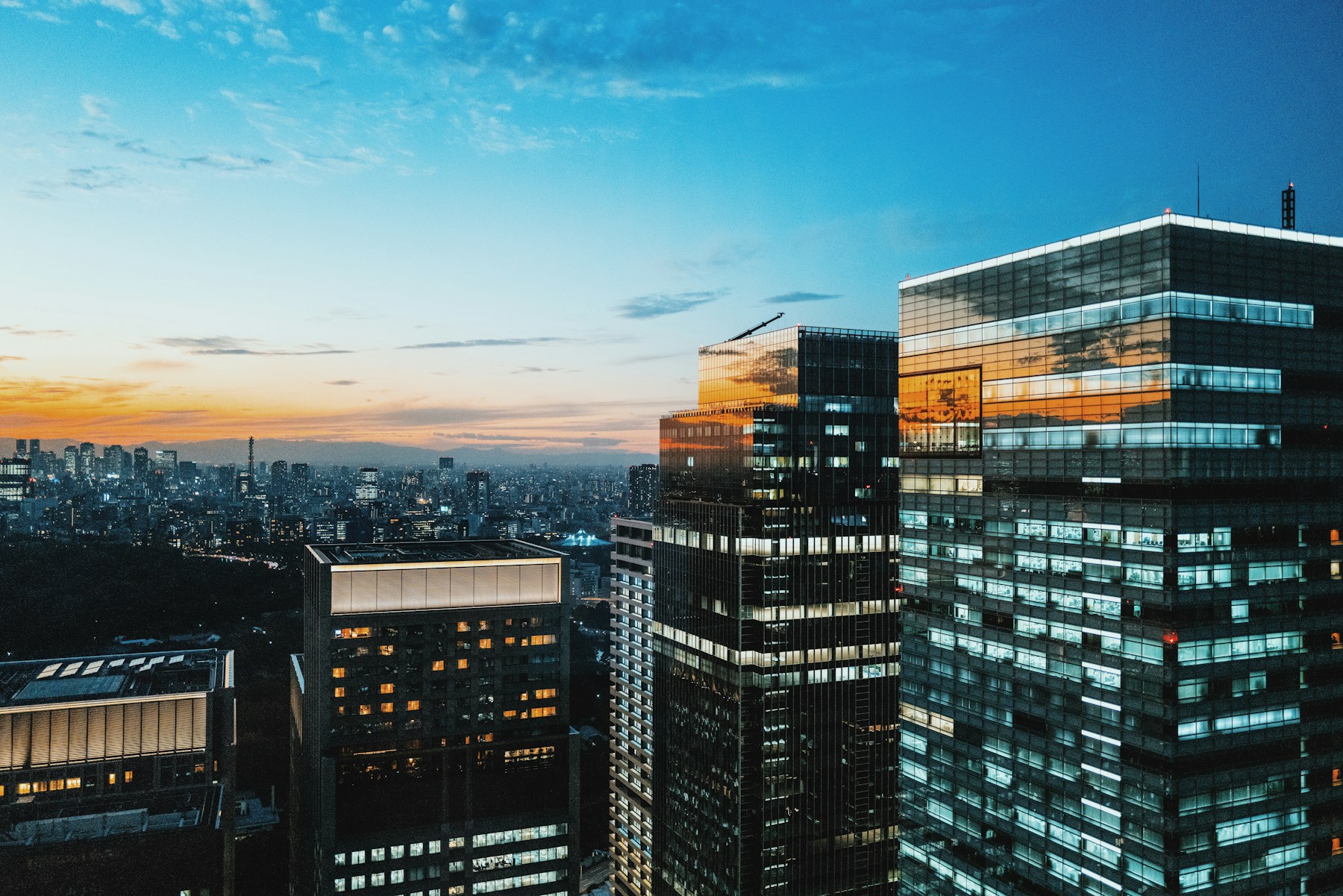 Commercial towers overlooking an urban business district at dusk